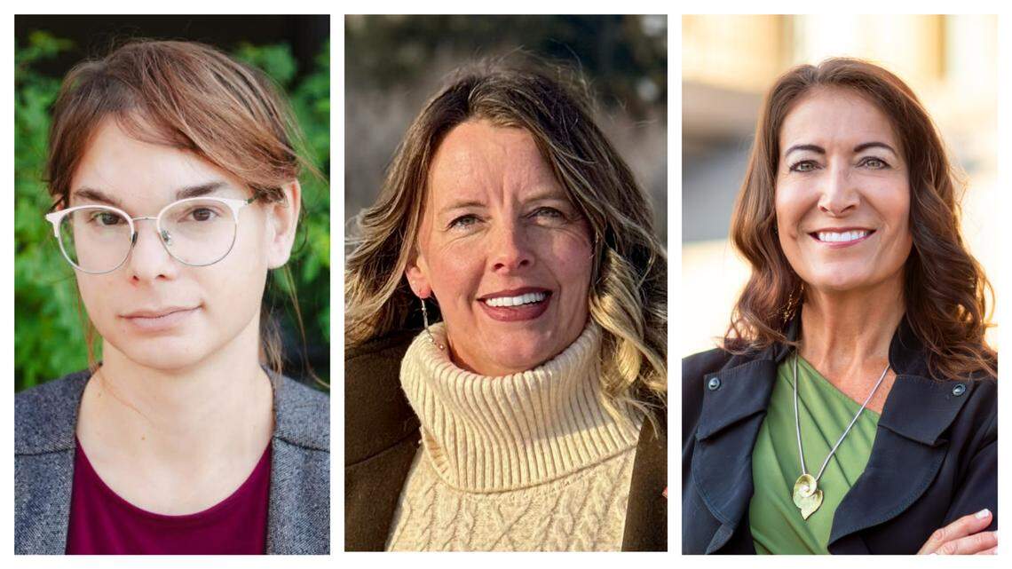 Endorsement: Three Democrats face off in primary for Idaho governor | Opinion