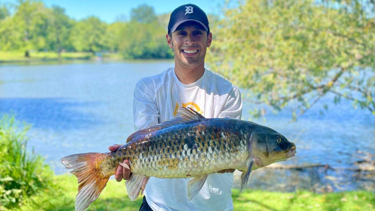 Carp are an afterthought to many anglers, but their massive size and elusive behavior make them a fun species to target with rod and reel.