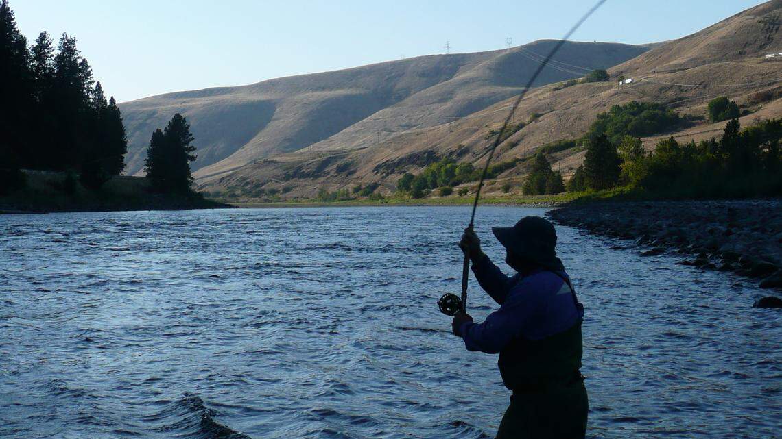 Fly-fishing for steelhead on the Clearwater River.