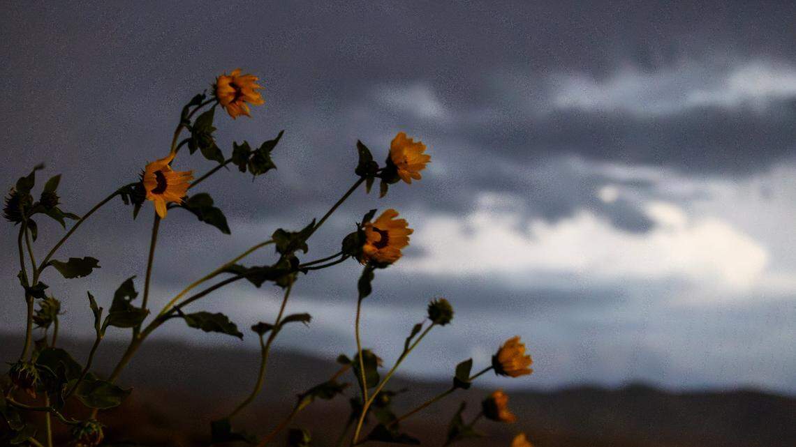 Just before high winds blew in Wednesday, Boise broke a temperature record