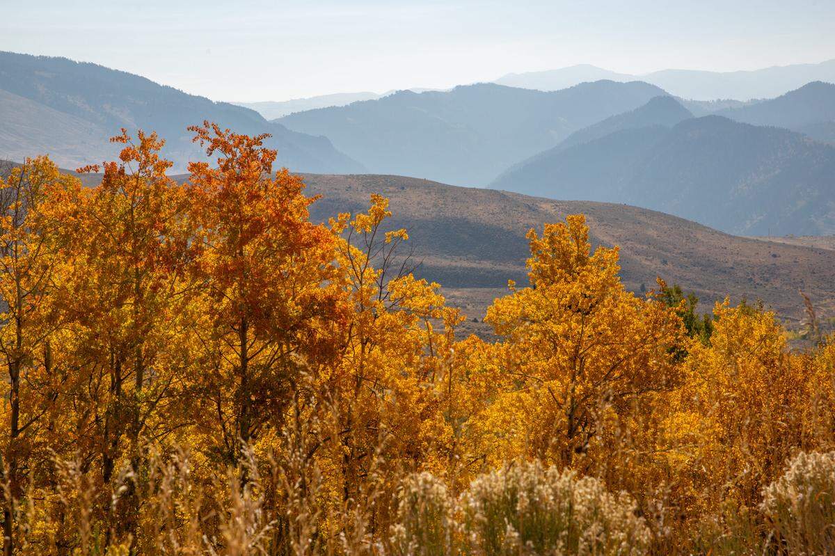 Overlooking the Yellowstone River drainage from Custer Gallatin National Forest.