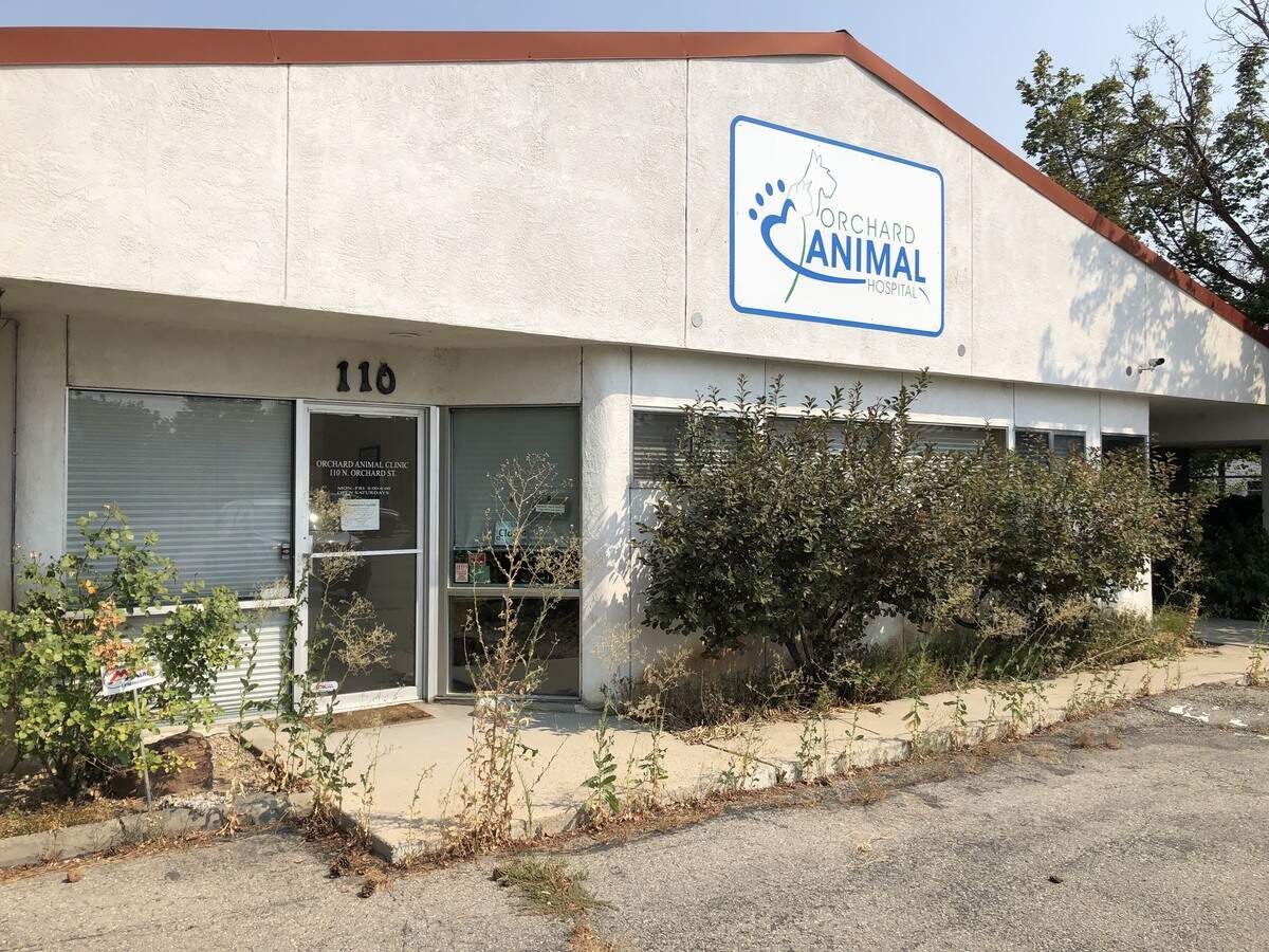 Weeds have grown tall outside Orchard Animal Hospital. There’s a “permanently closed” sign on the door.