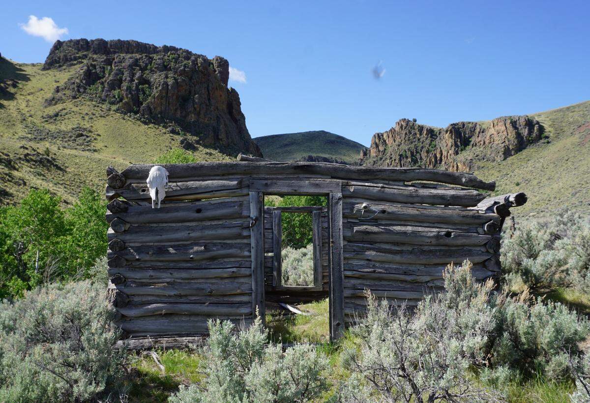 Perjue Canyon is named for former homesteader Frank Perjue, whose cabin sits near West Fork Shoofly Creek.