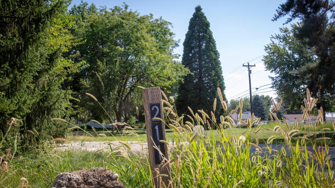 A 70-year-old, 60-foot tall sequoia, among other trees, will be cut down for development at 211 Highland Street, at the corner of Londoner Avenue, in Southeast Boise.