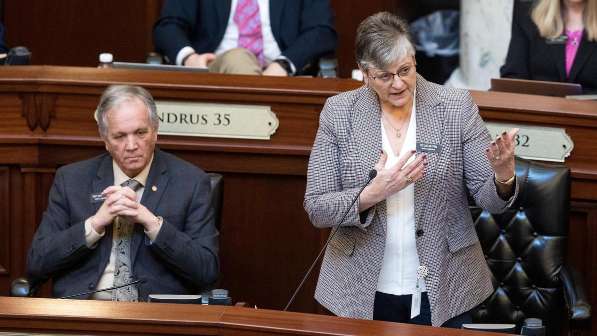 Rep. Lori McCann, R-Lewiston, seen testifying in 2023, thought H.B. 842 would undermine the budgeting process statewide.