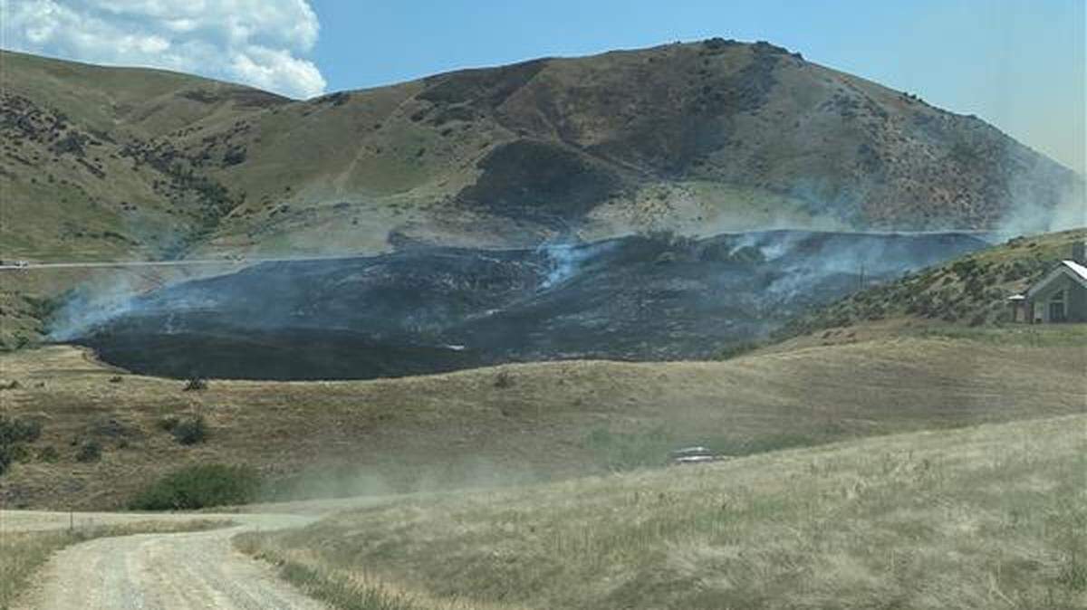 In a tweet, the Bureau of Land Management said that several crews have responded to a 35-acre near Horseshoe Bend.