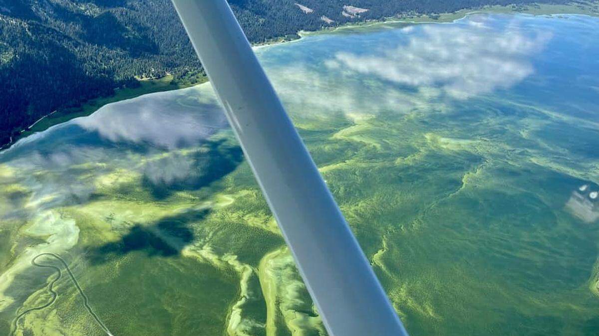 The Idaho Department of Health and Welfare advised the public to stay out of Lake Cascade last weekend while tests for cyanobacterial harmful algal blooms were looming.