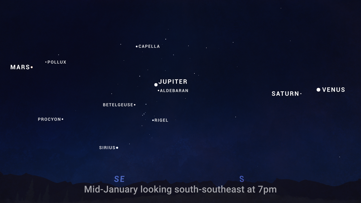 Venus, Saturn Jupiter and Mars will be visible together after dark in January 2025, according to NASA. Here’s what to know.