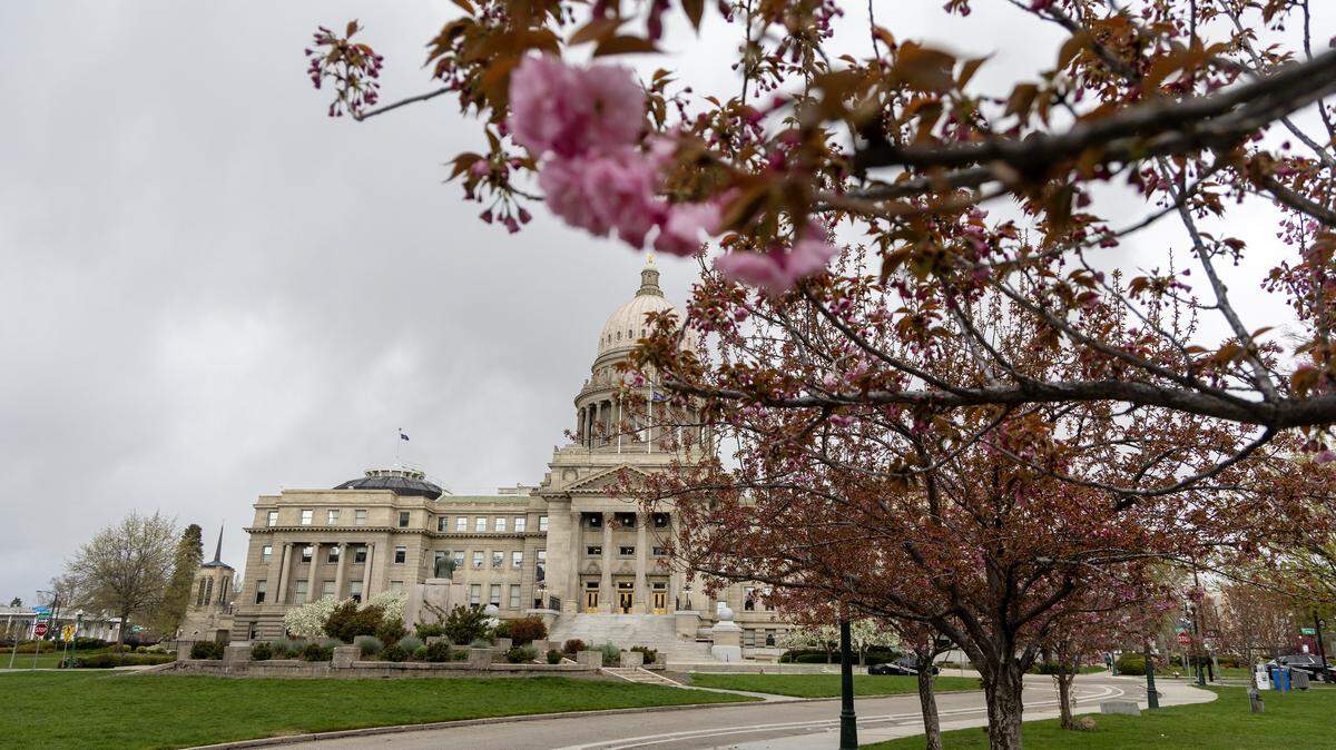 Trees bloom with flowers against a rainy backdrop of the Idaho Capitol, Thursday, April 2, 2026.