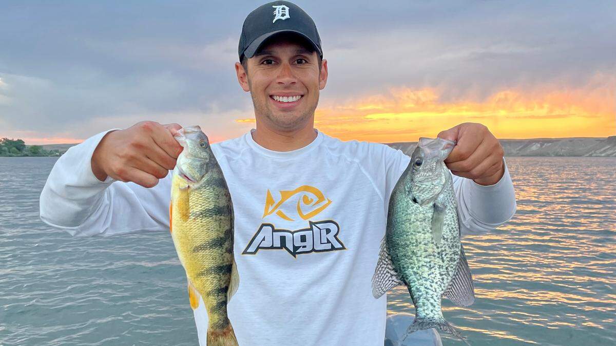 Yellow perch (left) and crappie (right) are two of the most sought-after panfish in Idaho waters. 
