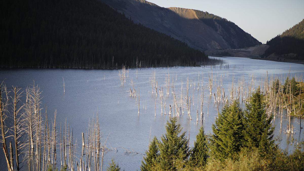 This U.S. Forest Service file photo shows “ghost trees” in Earthquake Lake at sunrise. The lake formed in the Custer Gallatin National Forest, where forest officials are planning a new logging project, in 1959 following a deadly earthquake.