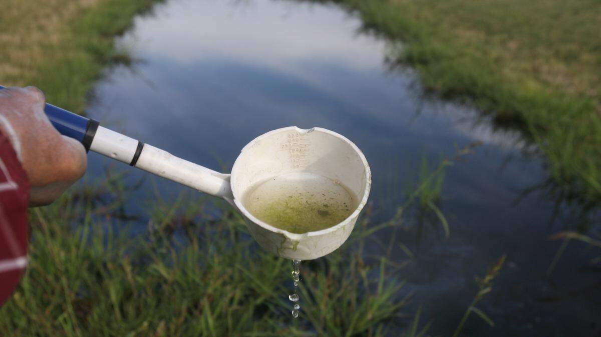 It’s peak mosquito season in the Treasure Valley. Mosquitoes can spread West Nile virus to humans and other animals. West Nile virus detection in mosquitoes hit an all-time high in Ada County in 2021.