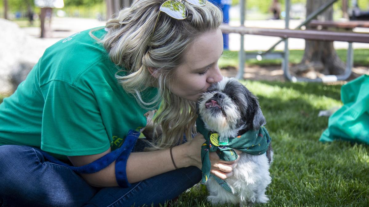 Ashley Cronk Freney is foster mom to Max, a 13-year-old shih tzu. Cronk Freney is a volunteer with Green Heart Rescue, an Idaho organization that takes in senior dogs.