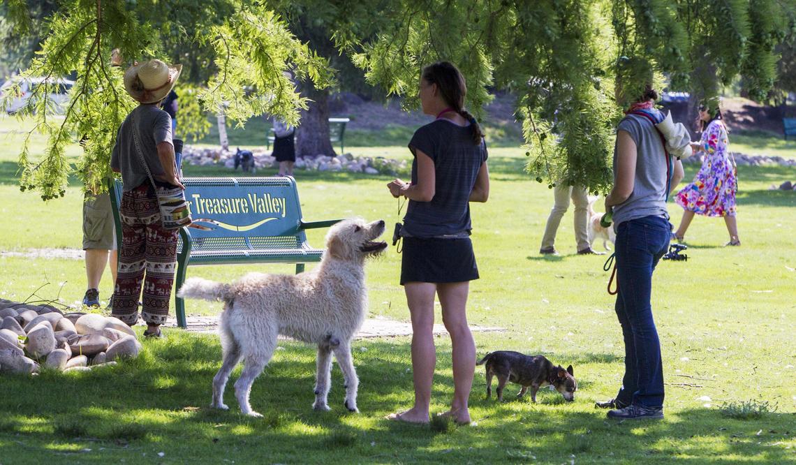 The dog-centric Together Treasure Valley Dog Island park provides a typical park experience with benches, picnic shelters, tree shade, and wide open spaces. It’s located within Boise’s Ann Morrison Park.