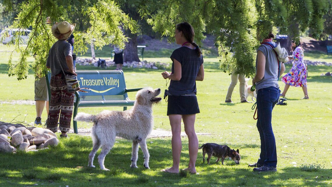 Proposed Boise laws would crack down more on animal cruelty, leaving pets in hot cars