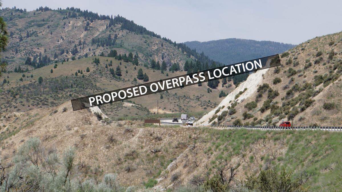The Cervidae Peak Wildlife Overpass planned along State Highway 21 is intended to reduce the number of animal-vehicle collisions between Lucky Peak and Idaho City.