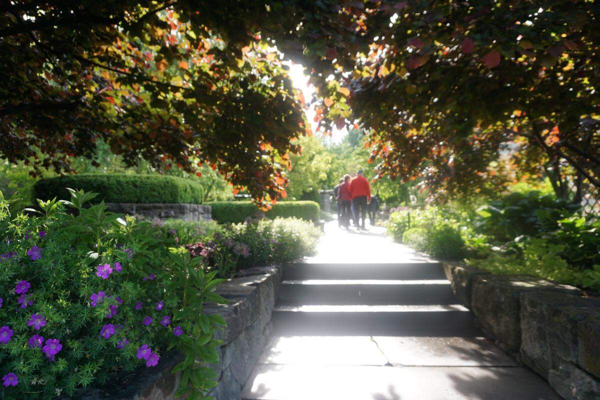 A group of clients follow Sari Telpner into the English garden at the Idaho Botanical Garden on Sunday, May 26, 2019. Telpner, a nature and forest therapy guide, leads forest bathing sessions, an immersive nature experience meant to promote mental and physical health.