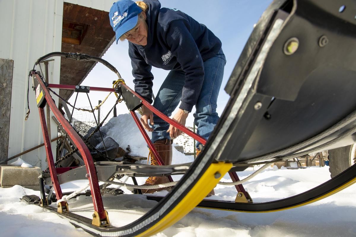 Laurie Warren, Council, looks over her dog sled just days before the Idaho Sled Dog Challenge where she and her team of dogs will mush 300 miles in the McCall area.