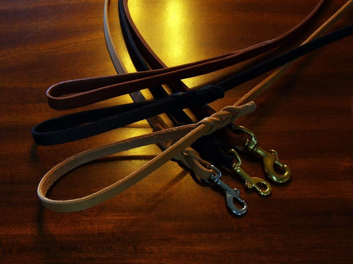 Boise’s Carl Darling makes leather leashes, harnesses and collars for dogs of all sizes in his Boise workshop. Leashes run $25 to $50 at Natures-Design.org. Part of the cost goes to funding custom service-dog harnesses for members of the military, which he does for free.