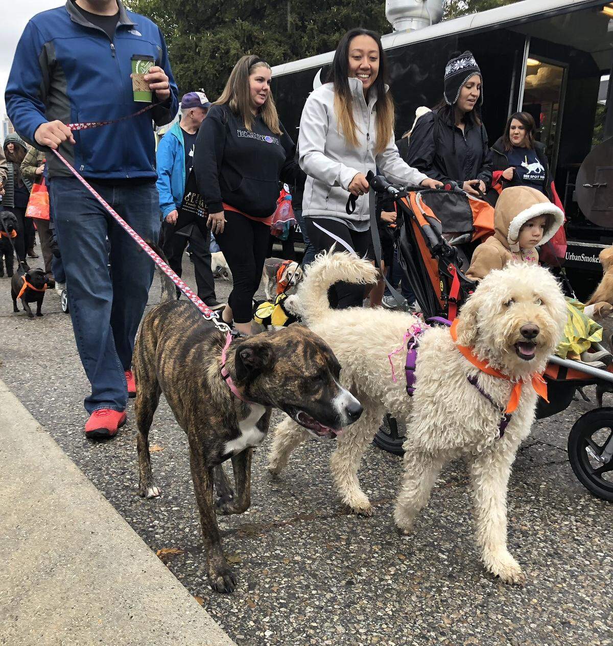 The annual See Spot Walk, the Idaho Humane Society fundraiser, returns to Boise on Saturday.