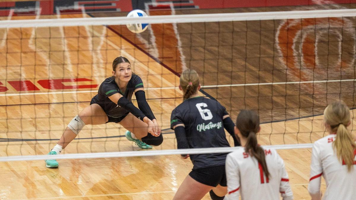 Eagle senior Delaney Bub reaches down for a dig Thursday in the 5A District Three Tournament championship at Owyhee High.