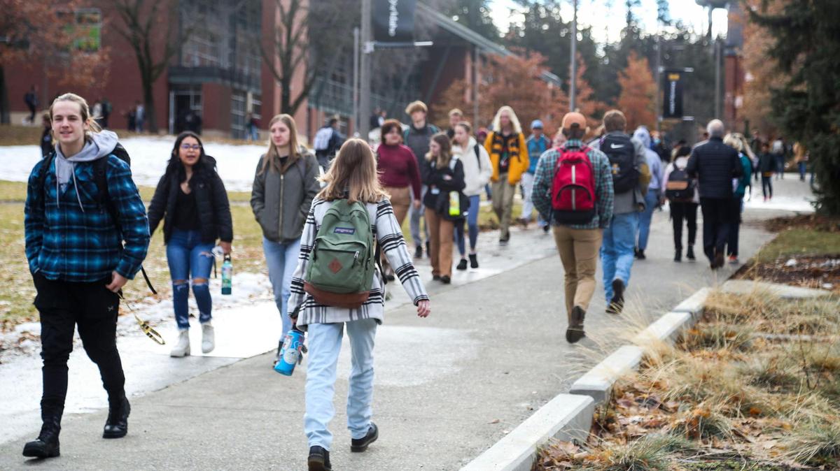 U of Idaho says deal to buy the U of Phoenix accounted for risk of student-loan costs