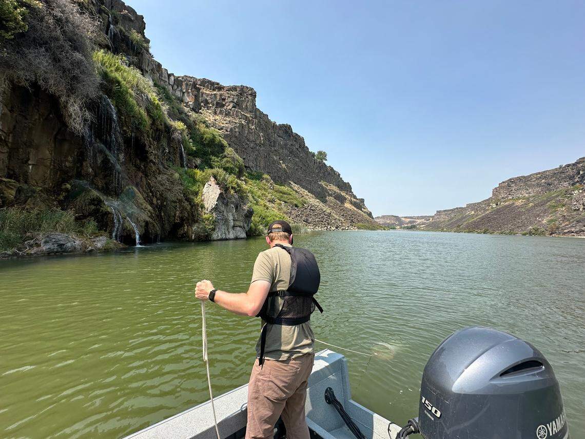 Idaho State Department of Agriculture employees took water samples in Idaho’s Mid-Snake River in July of 2024 to look for the final larval stage of quagga mussels.