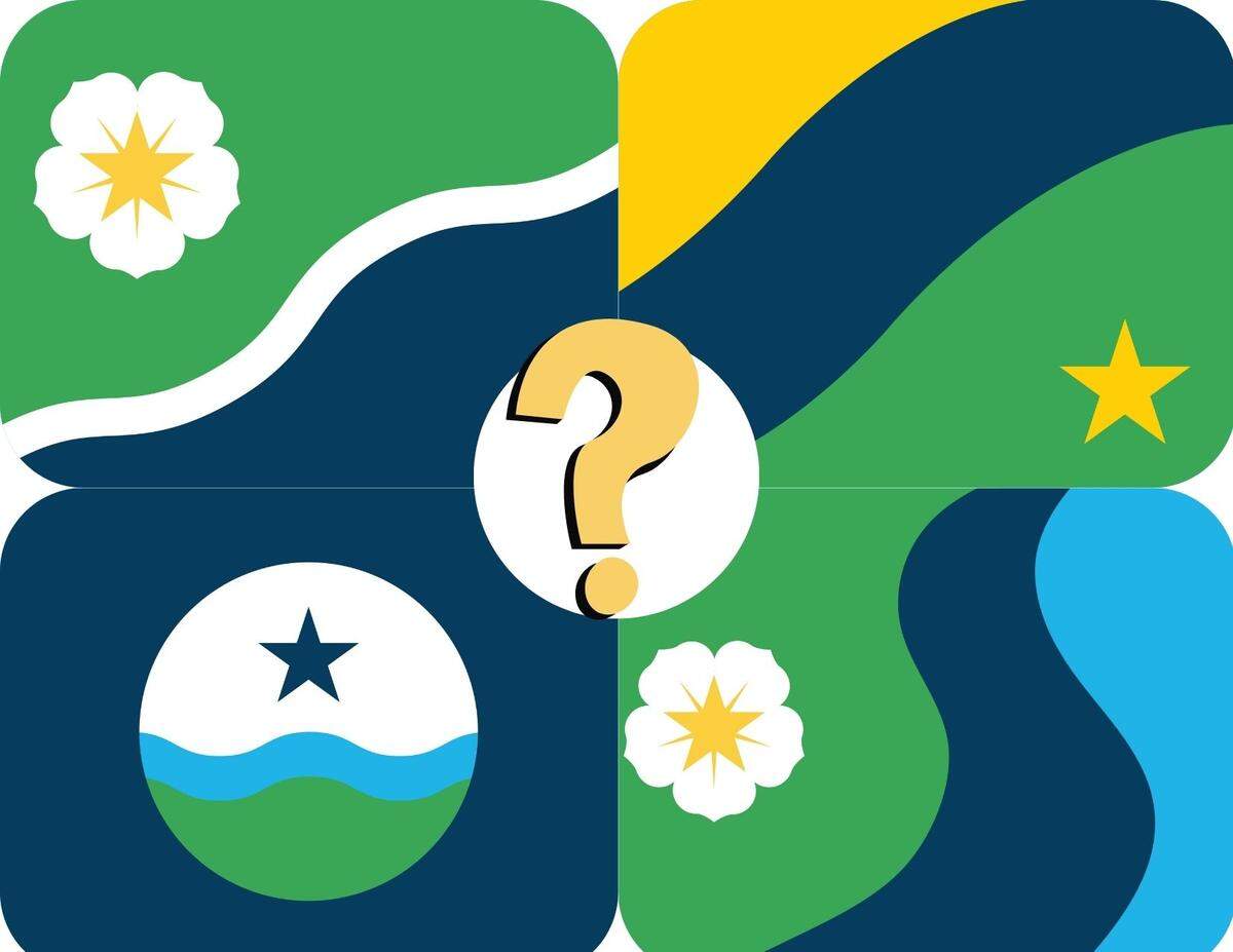 The four proposed designs for the city of Boise’s new flag.