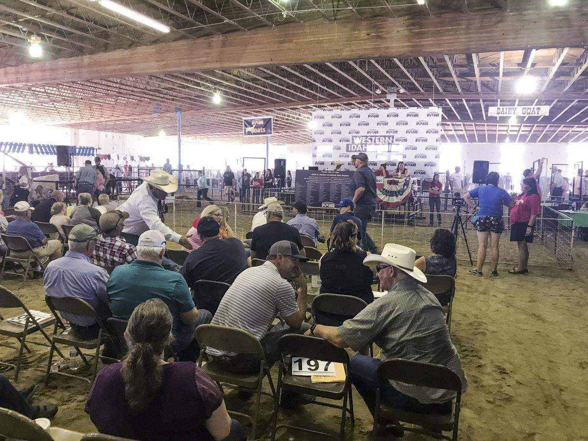 Audience members prepare for the junior market livestock sale at the Western Idaho Fairgrounds in Garden City last August. This year’s Western Idaho Fair will still feature 4-H and FFA shows and sales, but nothing else.