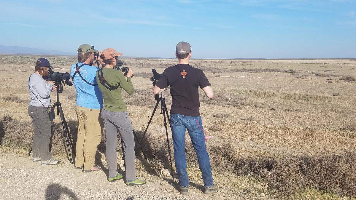 Jay Carlisle, second from left, and his biologists on the Morley Nelson Snake River Birds of Prey National Conservation Area in the desert south of Boise.
