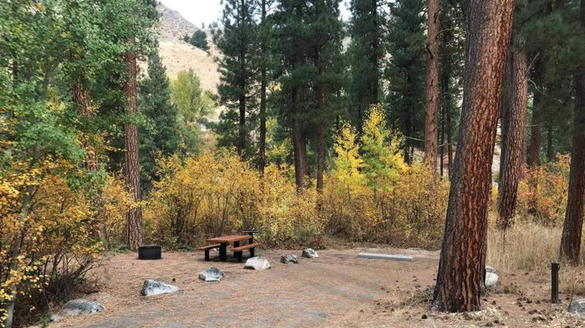 This Reservation.gov photo shows site 7 at Baumgartner Campground in the Fairfield Ranger District of the Sawtooth National Forest. Forest officials have proposed fee increases at Baumgartner and other Sawtooth National Forest sites.