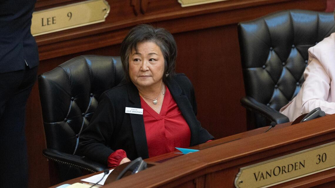 This Idaho senator could save Medicaid expansion and her constituents. She should | Opinion