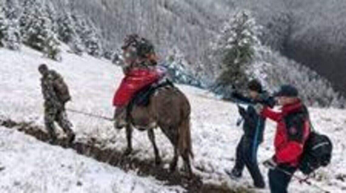 With ‘a mule as an ambulance,’ these Idahoans rescued an injured hunter amid a snowstorm