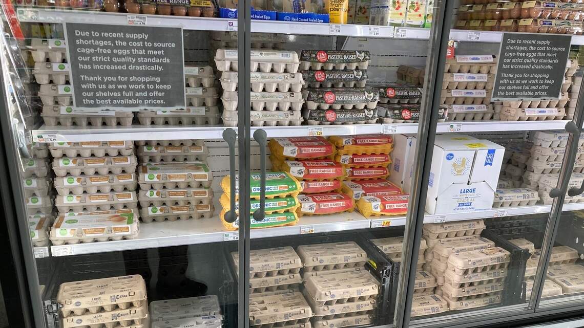 Why egg prices soared so fast at Idaho stores, and why ‘free range’ hens are at risk