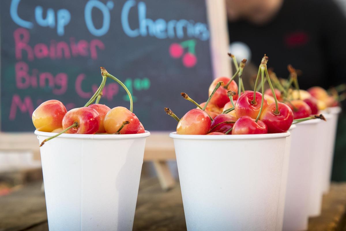 Cups full of Rainier cherries await patrons of Kelley’s Canyon Orchard at the Boise Farmers Market.