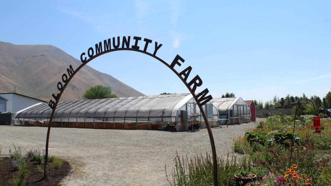 The Bloom Community Farm is where the Hunger Coalition grows its vegetables, herbs and fruit. According to the coalition’s 2022 impact report, its volunteers and interns harvested more than 7,000 pounds of food that wound up in food distribution boxes for community members.
