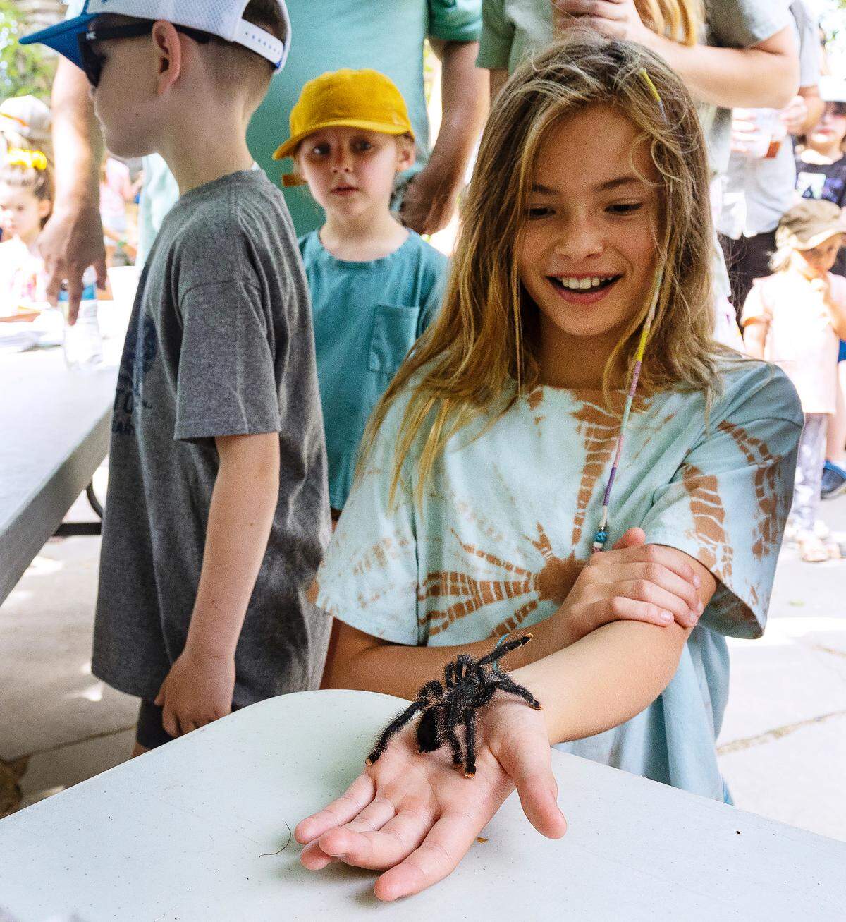Maya Hicks, 10 holds a Metallic Pinktoe Tarantula during the annual Bug Day event at the Idaho Botanical Garden. 