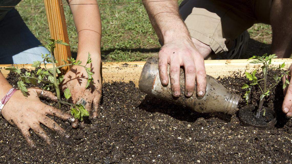 Practice proper pruning and planting as spring gardening season arrives in Idaho