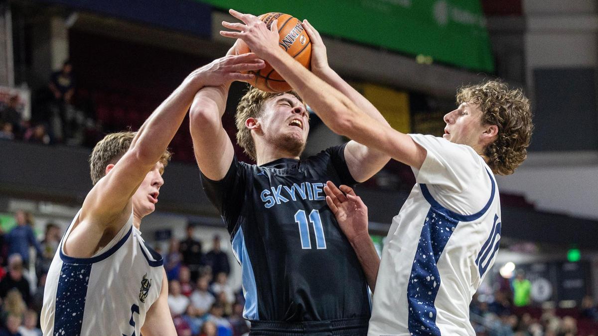 Skyview’s Blake Fanizzi is fouled during their game against Middleton in the 5A District Three boys basketball tournament championship game last season at Idaho Central Arena in Boise.