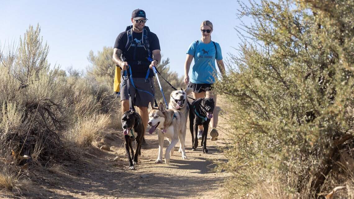 New business will take your dog on an adventure hike in the Boise Foothills