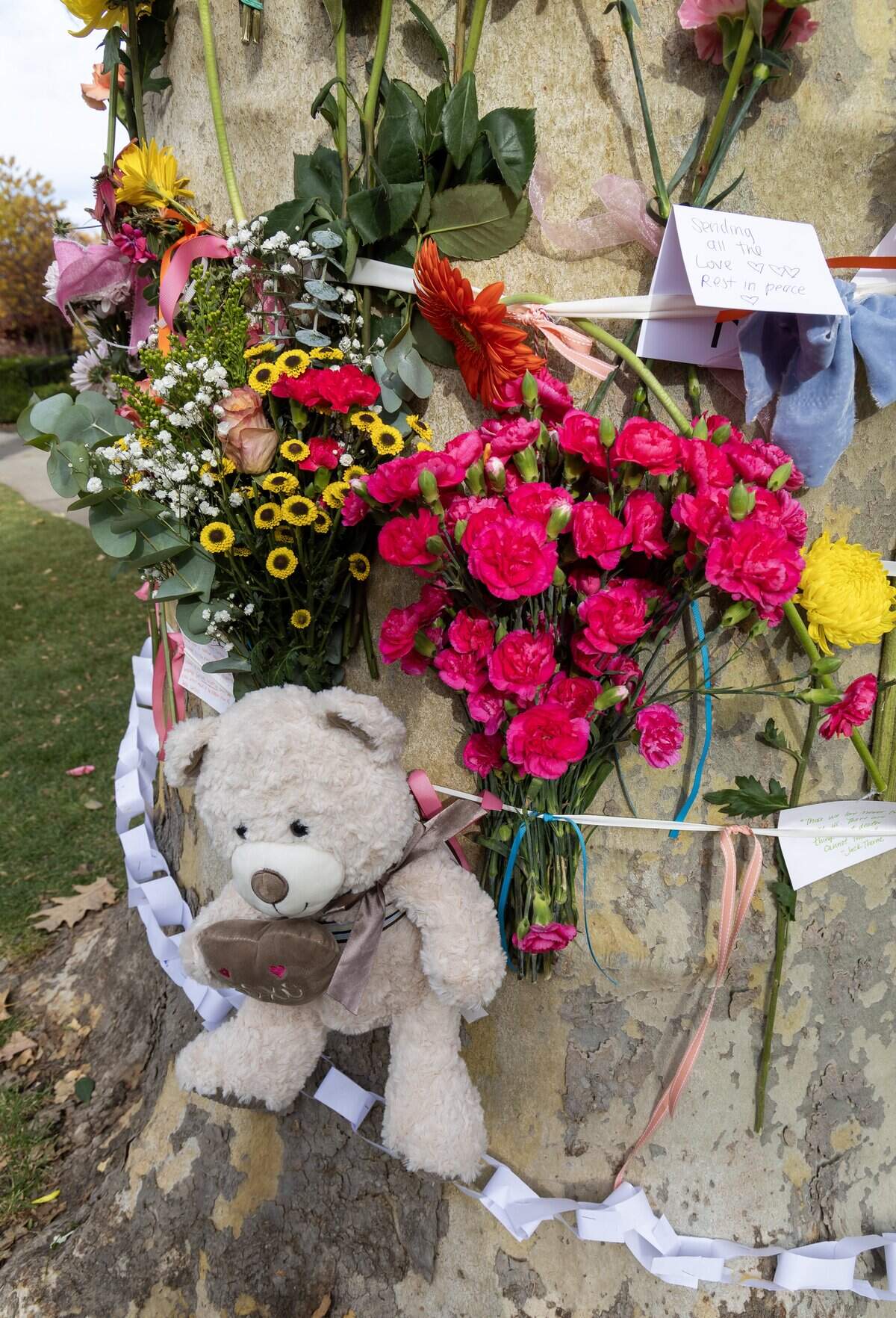 A memorial of flowers, ribbons, cards and stuffed animals surrounds a tree and sign poles at the intersection of Harrison Blvd. and Ada St. on Wednesday, Nov. 12, 2025 after a child was killed by a vehicle while crossing street on Tuesday.