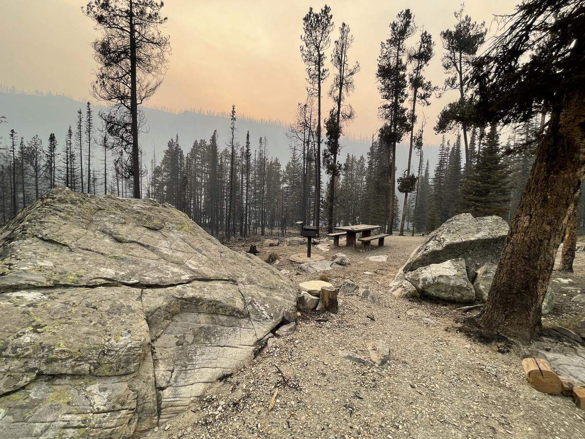 The 2022 Moose Fire in the Salmon-Challis National Forest burned trees at the Wallace Lake Campground, shown in this September 2022 file photo. The Moose Fire was human-caused and started at a campfire about 10 miles from the campground.