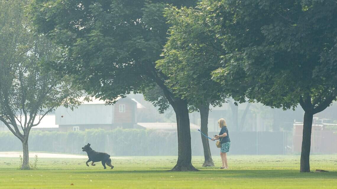 Wildfire smoke worsens Boise air quality. Learn risks for pets, livestock