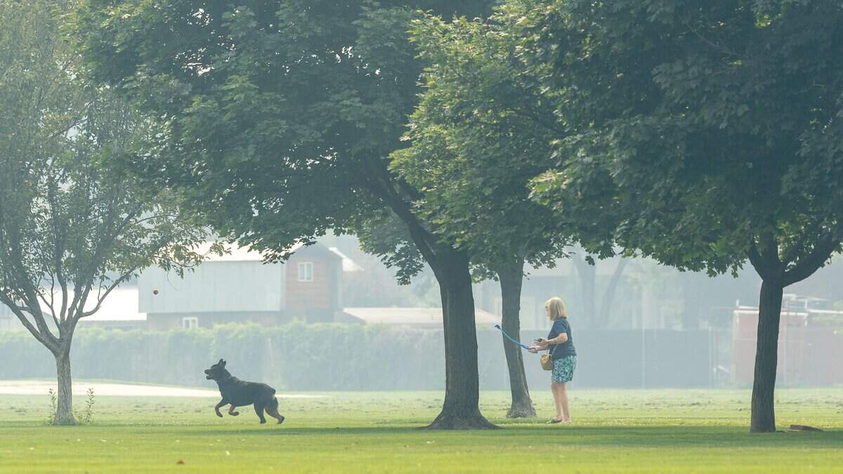 Wildfire smoke worsens Boise air quality. Learn risks for pets, livestock