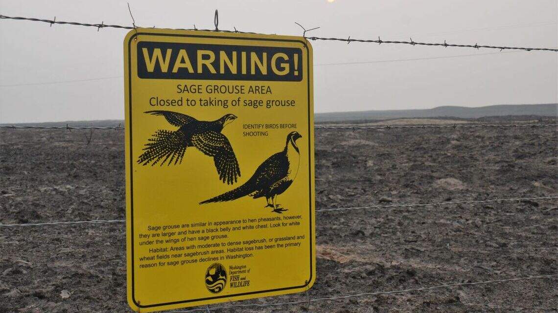 Wildlife and habitat are taking devastating hits from wildfires across the region