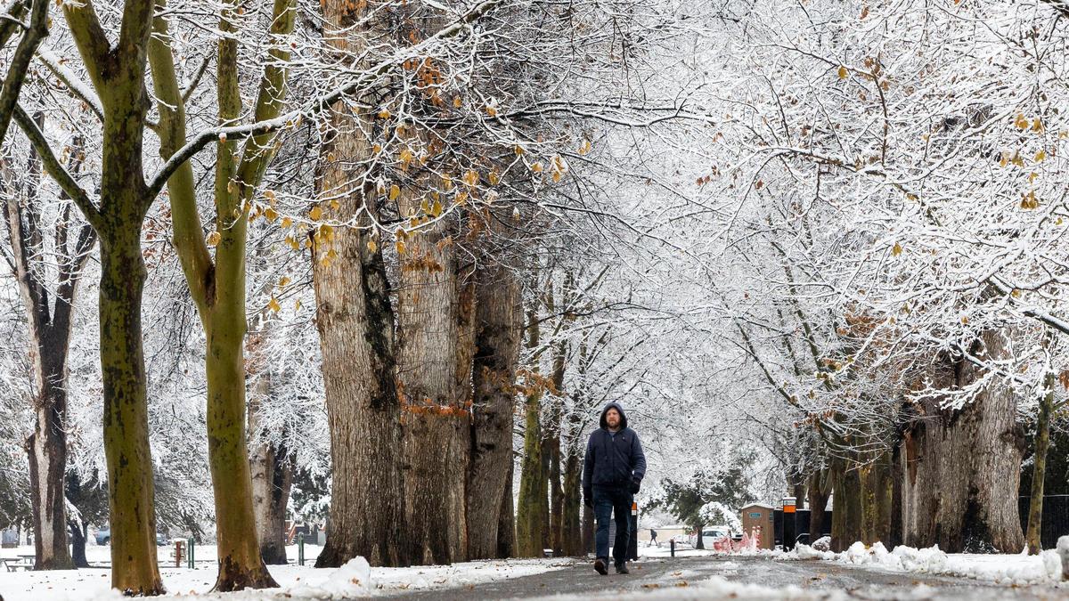 Jesse Schlender of Boise, walks through the winter wonderland of Julia Davis Park after overnight storms dropped several inches of snow on Boise and the Treasure Valley, Monday, Dec. 12, 2022.