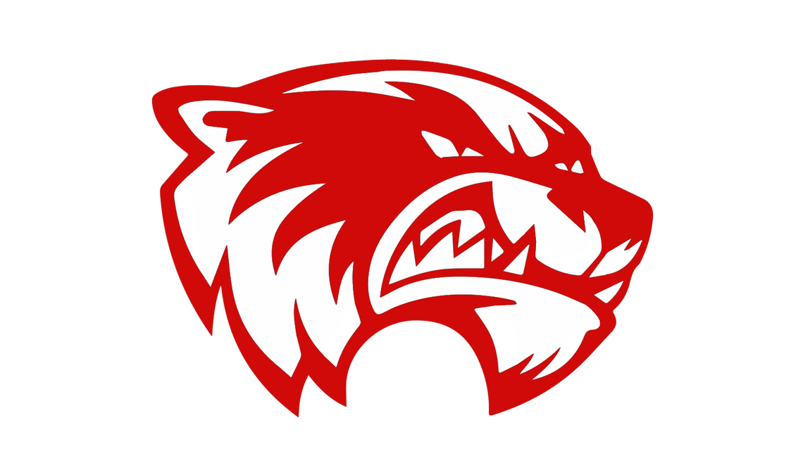 Weiser High logo