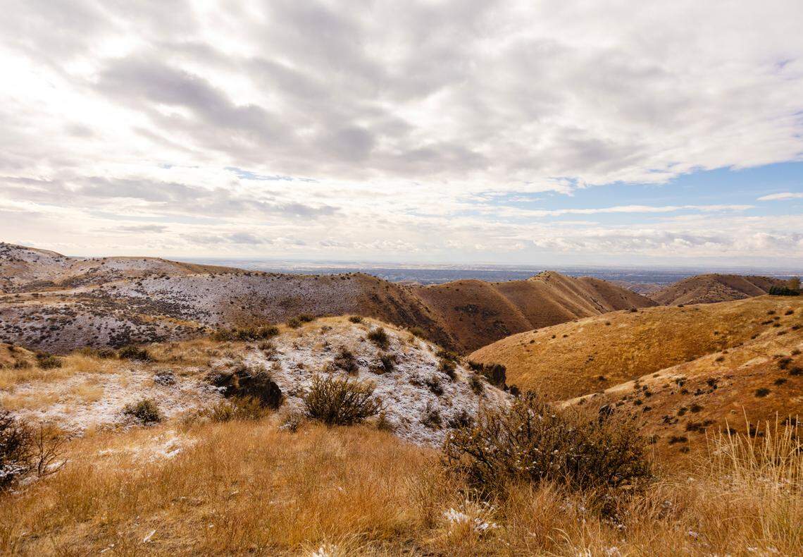 Overnight precipitation in the upper foothills brought fresh snow to the areas around Bogus Basin Road in November. Below the surface, soils are storing carbon. How much carbon they can store is the subject of a new study.