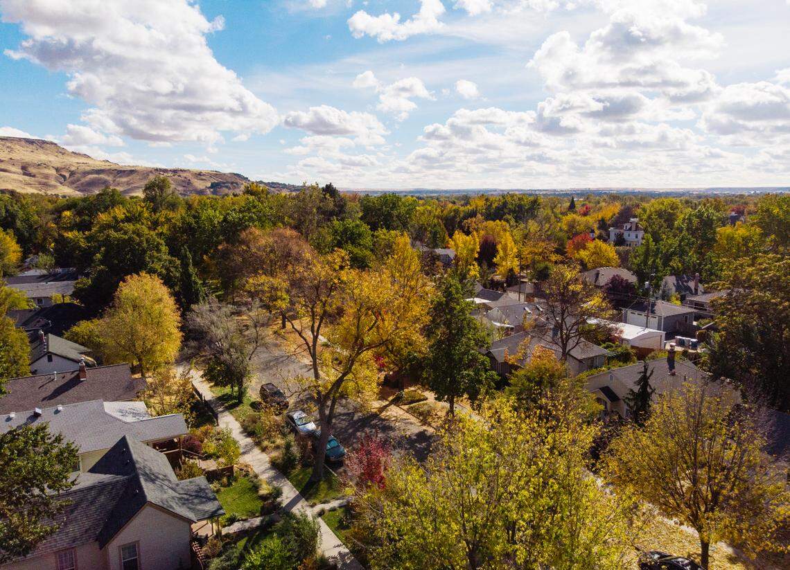 Autumn leaves highlight the tree canopy in Boise’s Historic East End neighborhood in October 2022.