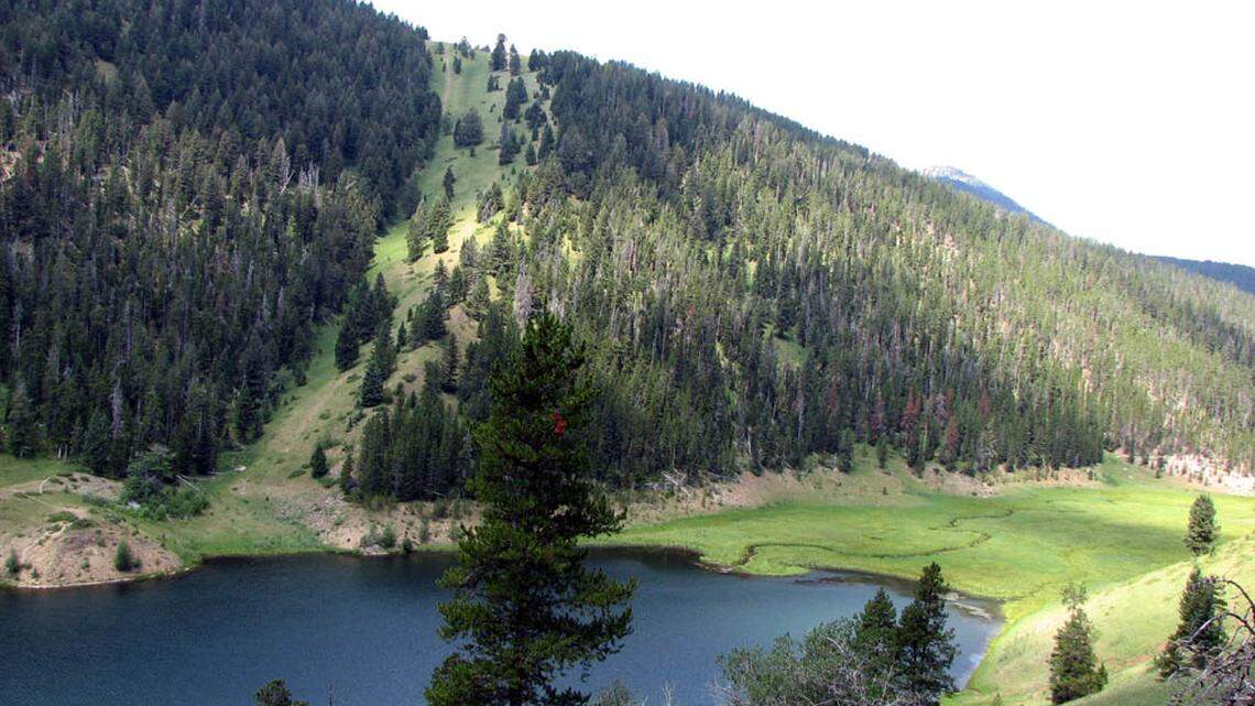 A bear seeking unsecured food bit a person camping at Mystic Lake in Montana on Saturday, requiring a helicopter rescue, officials say.